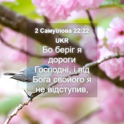 Picture 04 - 2 Самуїлова 22:22 UKR - Бо беріг я дороги Господні, - Bible Verse Picture