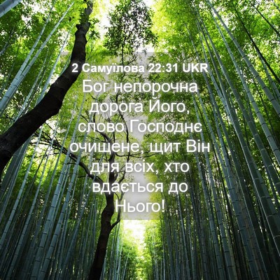 Picture 04 - 2 Самуїлова 22:31 UKR - Бог непорочна дорога Його, - Bible Verse Picture