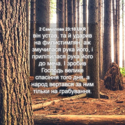 Picture 04 - 2 Самуїлова 23:10 UKR - він устав, та й ударив на - Bible Verse Picture