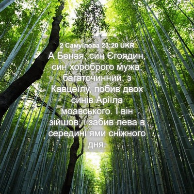 Picture 04 - 2 Самуїлова 23:20 UKR - А Беная, син Єгоядин, син - Bible Verse Picture