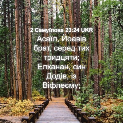Picture 04 - 2 Самуїлова 23:24 UKR - Асаїл, Йоавів брат, серед - Bible Verse Picture