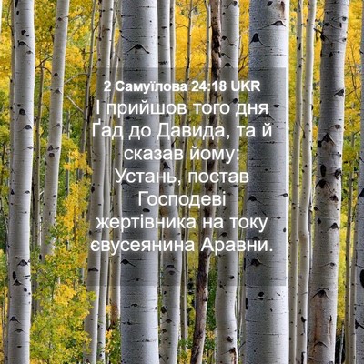 Picture 04 - 2 Самуїлова 24:18 UKR - І прийшов того дня Ґад до - Bible Verse Picture