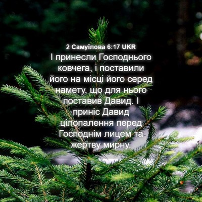 Picture 04 - 2 Самуїлова 6:17 UKR - І принесли Господнього - Bible Verse Picture