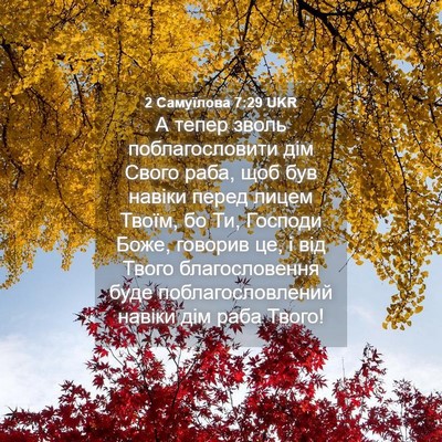 Picture 04 - 2 Самуїлова 7:29 UKR - А тепер зволь - Bible Verse Picture