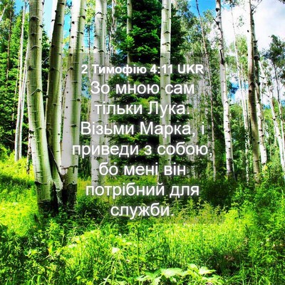 Picture 04 - 2 Тимофію 4:11 UKR - Зо мною сам тільки Лука. - Bible Verse Picture