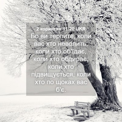 Picture 04 - 2 коринтян 11:20 UKR - Бо ви терпите, коли вас хто - Bible Verse Picture