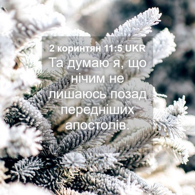 Picture 04 - 2 коринтян 11:5 UKR - Та думаю я, що нічим не - Bible Verse Picture