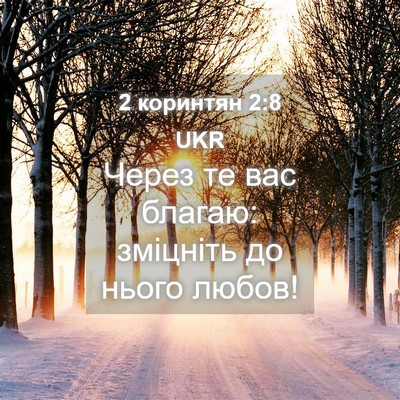 Picture 04 - 2 коринтян 2:8 UKR - Через те вас благаю: - Bible Verse Picture