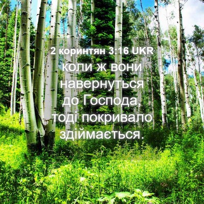 Picture 04 - 2 коринтян 3:16 UKR - коли ж вони навернуться до - Bible Verse Picture