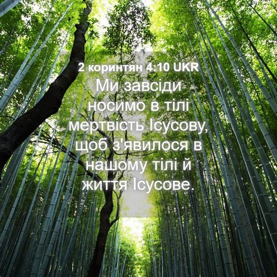 Picture 04 - 2 коринтян 4:10 UKR - Ми завсіди носимо в тілі - Bible Verse Picture