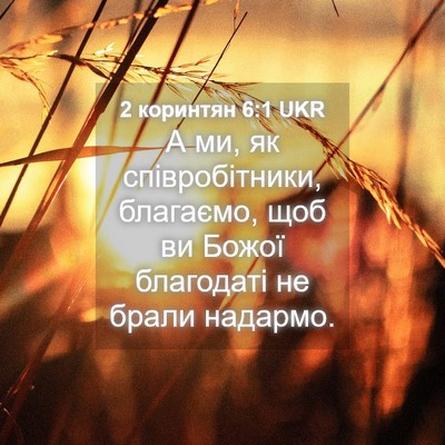 Picture 04 - 2 коринтян 6:1 UKR - А ми, як співробітники, - Bible Verse Picture