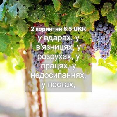 Picture 04 - 2 коринтян 6:5 UKR - у вдарах, у в'язницях, у - Bible Verse Picture