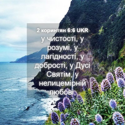 Picture 04 - 2 коринтян 6:6 UKR - у чистості, у розумі, у - Bible Verse Picture