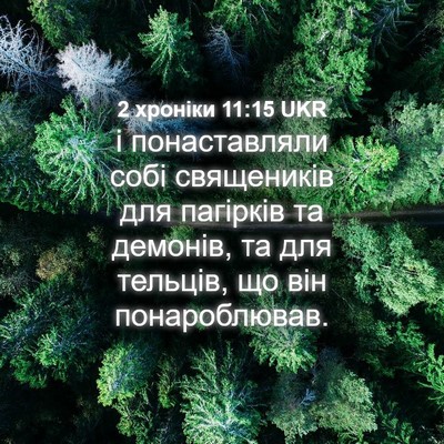 Picture 04 - 2 хроніки 11:15 UKR - і понаставляли собі - Bible Verse Picture