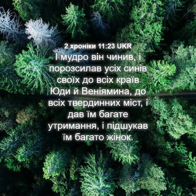 Picture 04 - 2 хроніки 11:23 UKR - І мудро він чинив, і - Bible Verse Picture