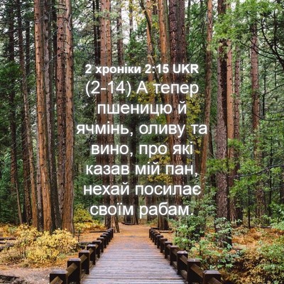 Picture 04 - 2 хроніки 2:15 UKR - (2-14) А тепер пшеницю й - Bible Verse Picture