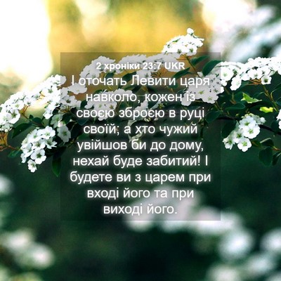 Picture 04 - 2 хроніки 23:7 UKR - І оточать Левити царя - Bible Verse Picture