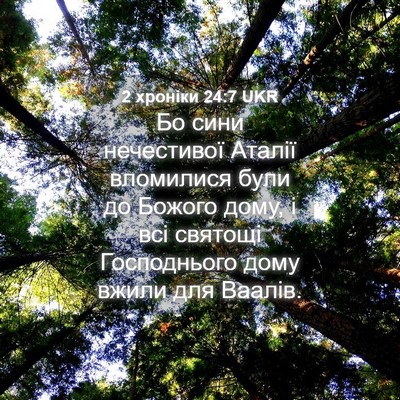 Picture 04 - 2 хроніки 24:7 UKR - Бо сини нечестивої Аталії - Bible Verse Picture