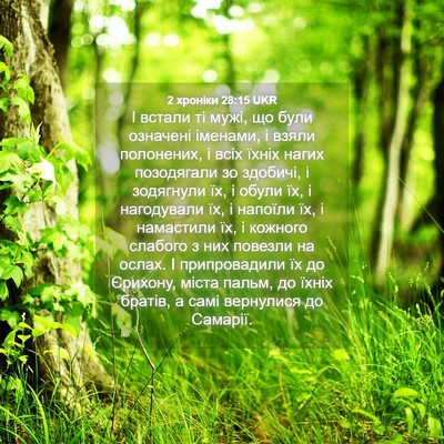 Picture 04 - 2 хроніки 28:15 UKR - І встали ті мужі, що були - Bible Verse Picture