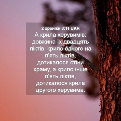 Picture 04 - 2 хроніки 3:11 UKR - А крила херувимів: довжина - Bible Verse Picture