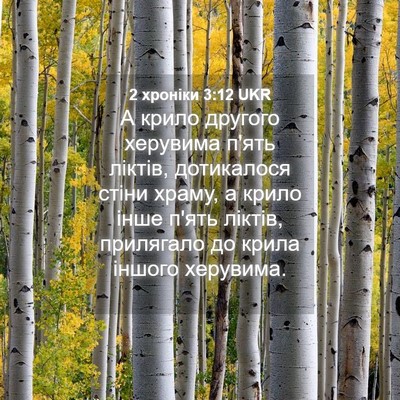 Picture 04 - 2 хроніки 3:12 UKR - А крило другого херувима - Bible Verse Picture