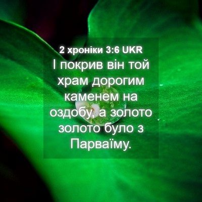Picture 04 - 2 хроніки 3:6 UKR - І покрив він той храм - Bible Verse Picture