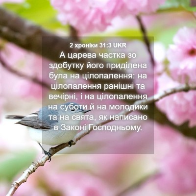 Picture 04 - 2 хроніки 31:3 UKR - А царева частка зо - Bible Verse Picture
