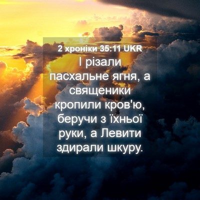 Picture 04 - 2 хроніки 35:11 UKR - І різали пасхальне ягня, а - Bible Verse Picture