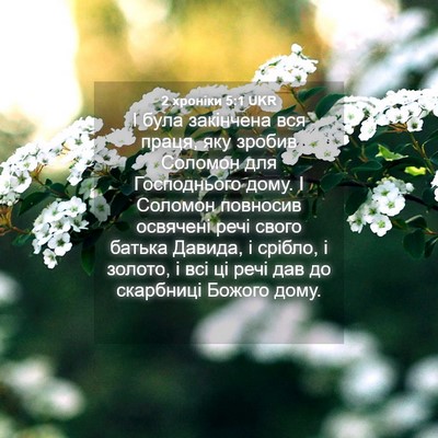 Picture 04 - 2 хроніки 5:1 UKR - І була закінчена вся праця, - Bible Verse Picture