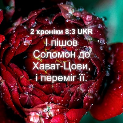 Picture 04 - 2 хроніки 8:3 UKR - І пішов Соломон до - Bible Verse Picture