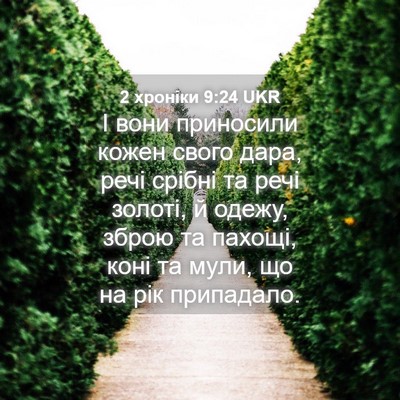 Picture 04 - 2 хроніки 9:24 UKR - І вони приносили кожен - Bible Verse Picture