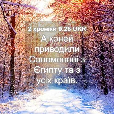 Picture 04 - 2 хроніки 9:28 UKR - А коней приводили - Bible Verse Picture