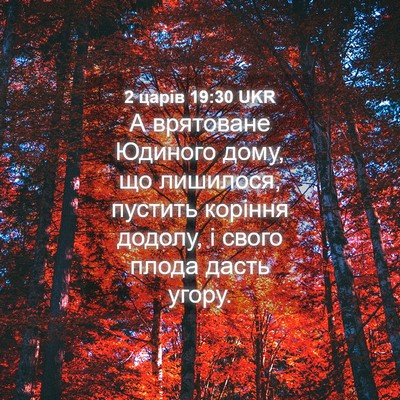 Picture 04 - 2 царів 19:30 UKR - А врятоване Юдиного дому, - Bible Verse Picture