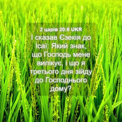 Picture 04 - 2 царів 20:8 UKR - І сказав Єзекія до Ісаї: - Bible Verse Picture