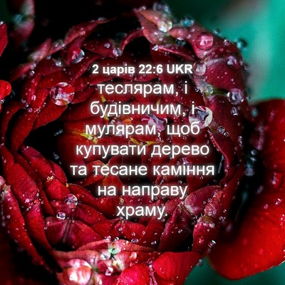 Picture 04 - 2 царів 22:6 UKR - теслярам, і будівничим, і - Bible Verse Picture