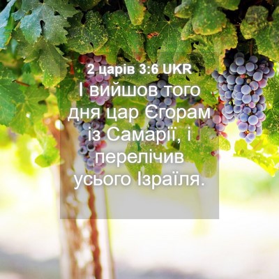 Picture 04 - 2 царів 3:6 UKR - І вийшов того дня цар - Bible Verse Picture