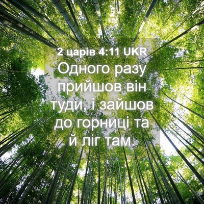 Picture 04 - 2 царів 4:11 UKR - Одного разу прийшов він - Bible Verse Picture