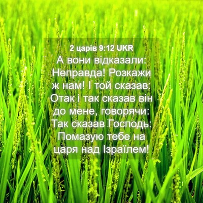 Picture 04 - 2 царів 9:12 UKR - А вони відказали: Неправда! - Bible Verse Picture