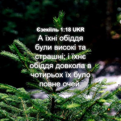 Picture 04 - Єзекіїль 1:18 UKR - А їхні обіддя були високі - Bible Verse Picture