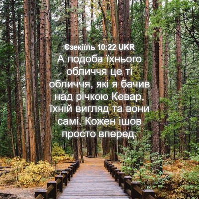 Picture 04 - Єзекіїль 10:22 UKR - А подоба їхнього обличчя - Bible Verse Picture