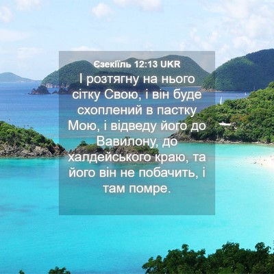 Picture 04 - Єзекіїль 12:13 UKR - І розтягну на нього сітку - Bible Verse Picture