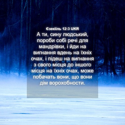 Picture 04 - Єзекіїль 12:3 UKR - А ти, сину людський, пороби - Bible Verse Picture