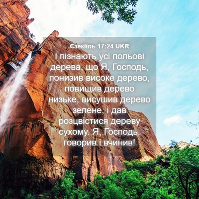 Picture 04 - Єзекіїль 17:24 UKR - І пізнають усі польові - Bible Verse Picture
