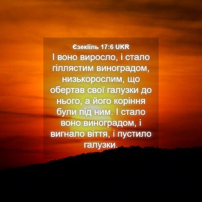 Picture 04 - Єзекіїль 17:6 UKR - І воно виросло, і стало - Bible Verse Picture