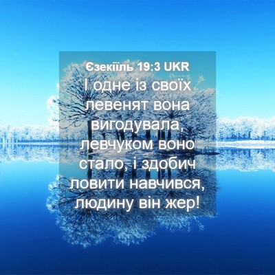 Picture 04 - Єзекіїль 19:3 UKR - І одне із своїх левенят - Bible Verse Picture