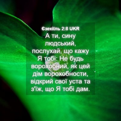 Picture 04 - Єзекіїль 2:8 UKR - А ти, сину людський, - Bible Verse Picture