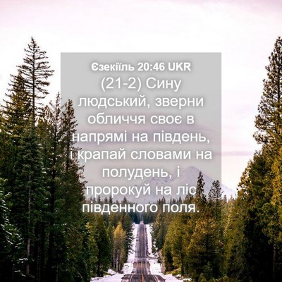 Picture 04 - Єзекіїль 20:46 UKR - (21-2) Сину людський, зверни - Bible Verse Picture