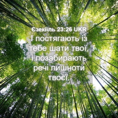 Picture 04 - Єзекіїль 23:26 UKR - І постягають із тебе шати - Bible Verse Picture