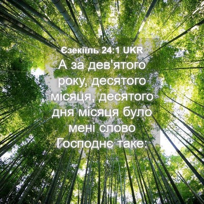 Picture 04 - Єзекіїль 24:1 UKR - А за дев'ятого року, - Bible Verse Picture