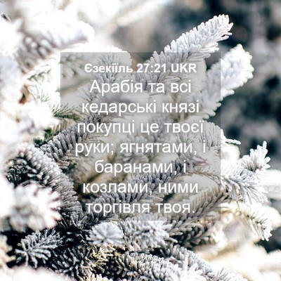 Picture 04 - Єзекіїль 27:21 UKR - Арабія та всі кедарські - Bible Verse Picture